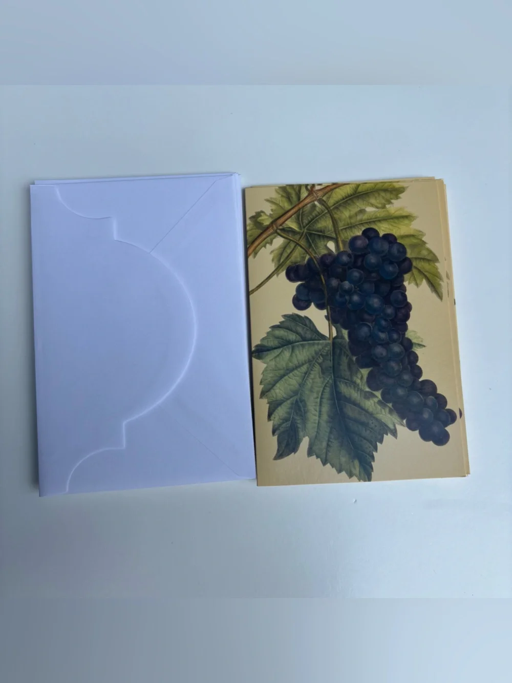 Vintage 2003 Michel Design Works Botanical Wine Grapes Note Cards Set of 6